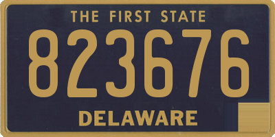 DE license plate 823676