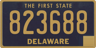DE license plate 823688