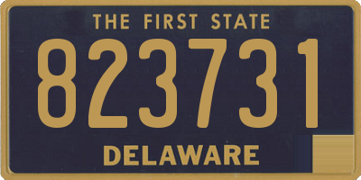 DE license plate 823731