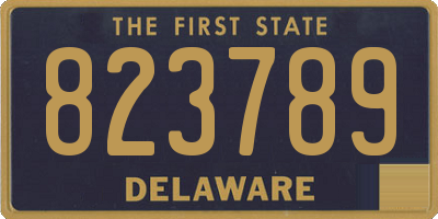 DE license plate 823789