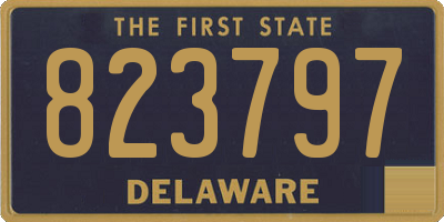 DE license plate 823797