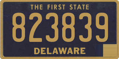DE license plate 823839