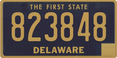DE license plate 823848