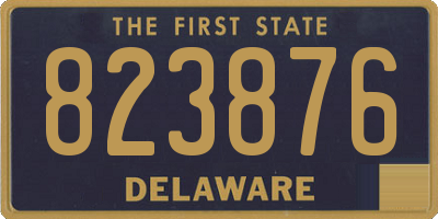 DE license plate 823876