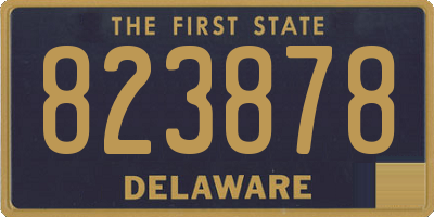 DE license plate 823878
