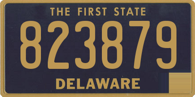 DE license plate 823879