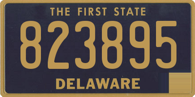 DE license plate 823895