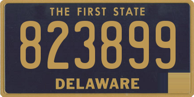 DE license plate 823899