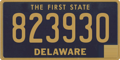 DE license plate 823930