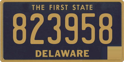 DE license plate 823958