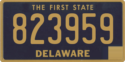 DE license plate 823959