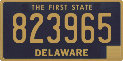 DE license plate 823965