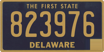 DE license plate 823976