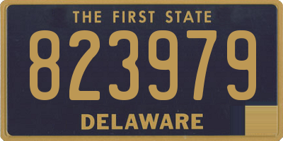 DE license plate 823979