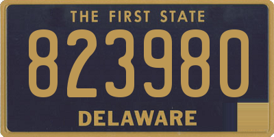 DE license plate 823980