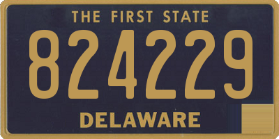 DE license plate 824229