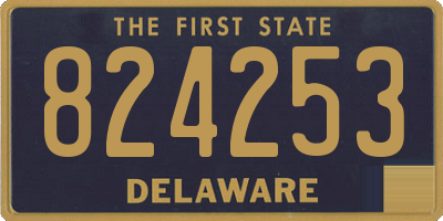 DE license plate 824253