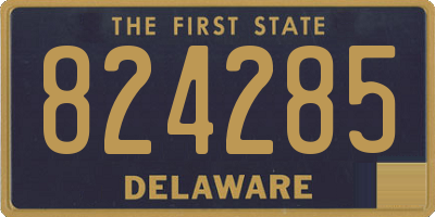 DE license plate 824285