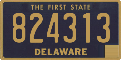 DE license plate 824313
