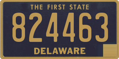 DE license plate 824463
