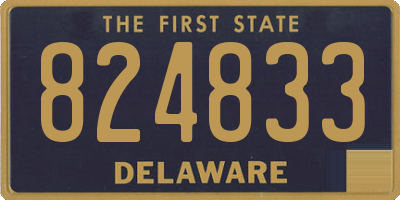 DE license plate 824833