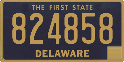DE license plate 824858