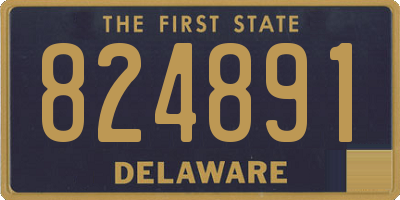 DE license plate 824891