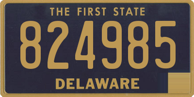 DE license plate 824985