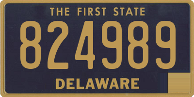 DE license plate 824989