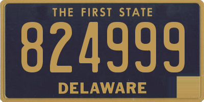 DE license plate 824999