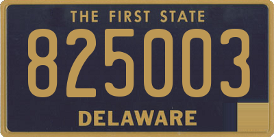 DE license plate 825003