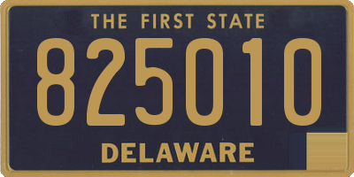 DE license plate 825010