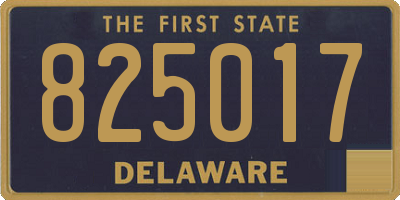 DE license plate 825017