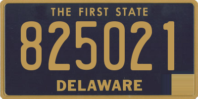 DE license plate 825021