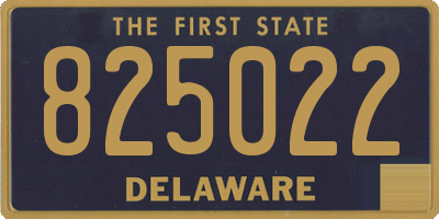 DE license plate 825022