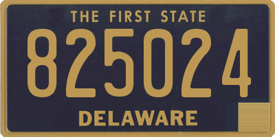 DE license plate 825024