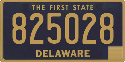 DE license plate 825028