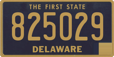 DE license plate 825029
