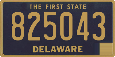 DE license plate 825043