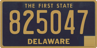 DE license plate 825047