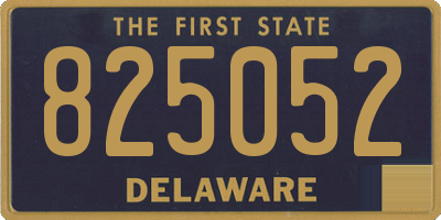 DE license plate 825052