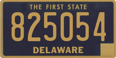 DE license plate 825054