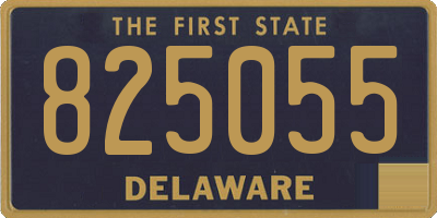 DE license plate 825055