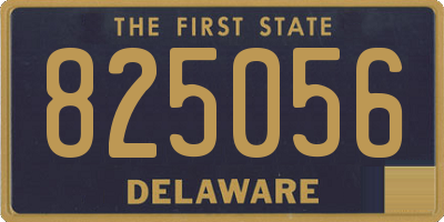DE license plate 825056