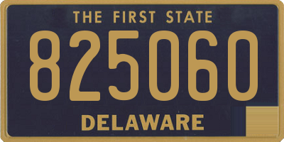 DE license plate 825060