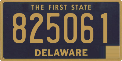 DE license plate 825061