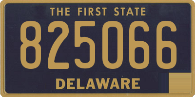 DE license plate 825066