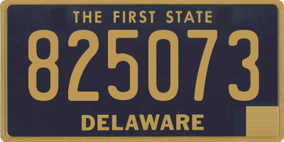 DE license plate 825073