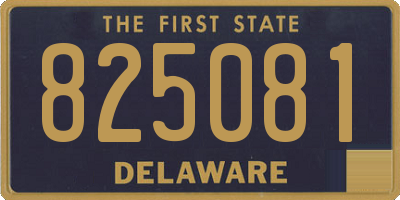 DE license plate 825081