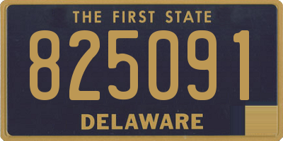 DE license plate 825091